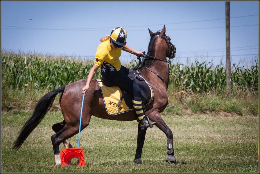 Mounted Games 156